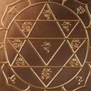 Meet your Posher, Priyank